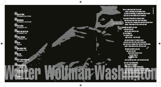 Walter Wolfman Washington - Blue Moon Risin’ (CD, 1999)